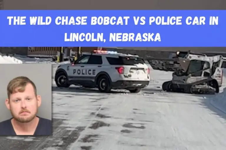 The Wild Chase: Bobcat vs Police Car in Lincoln, Nebraska